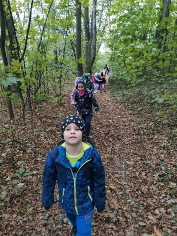 Wspólne zdobywanie parkowych szczytów