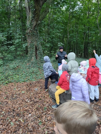 Wysłuchanie legendy o parkowych skrzatach i podziwianie okazałego drzewostanu