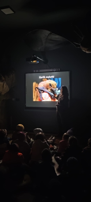 Przedszkolaki poznają gatunki nietoperzy podczas wizyty w Stacji Edukcji Ekologicznej w Świdnicy.jpeg