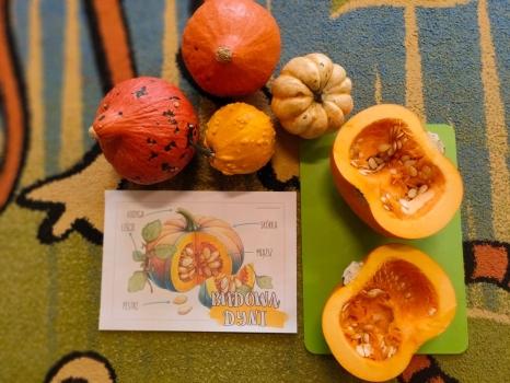 Królowa dyniowego festiwalu czyli dynia